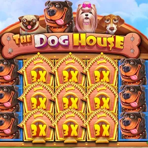 doghouse краш игра